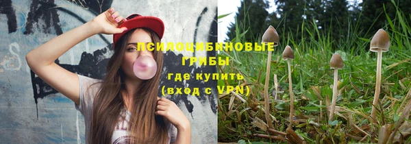 альфа пвп Медвежьегорск